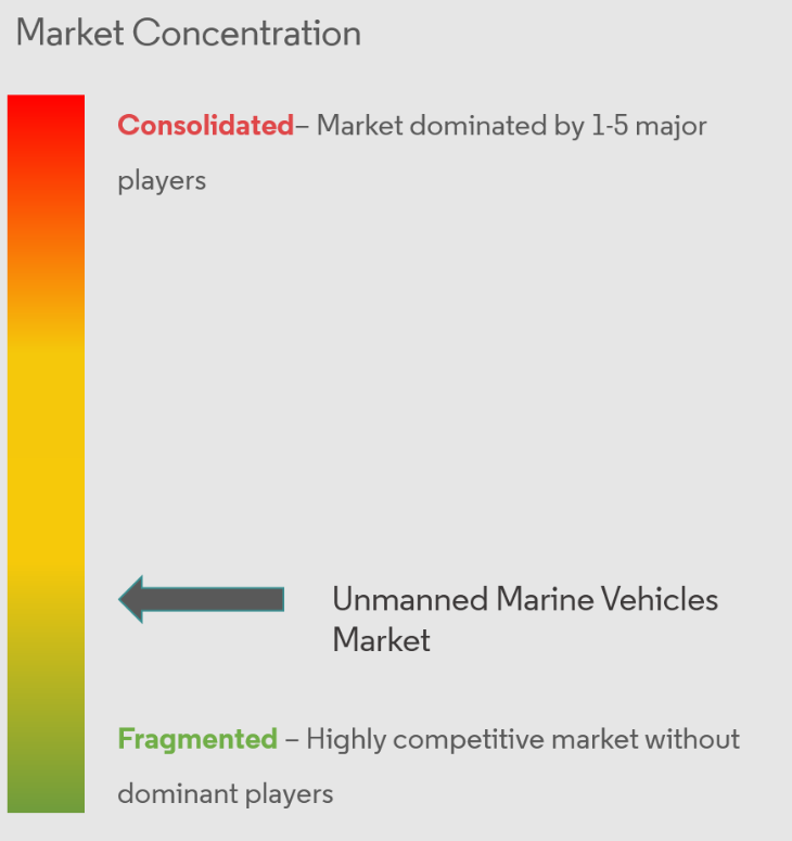 Unmanned Marine Vehicles Market Concentration